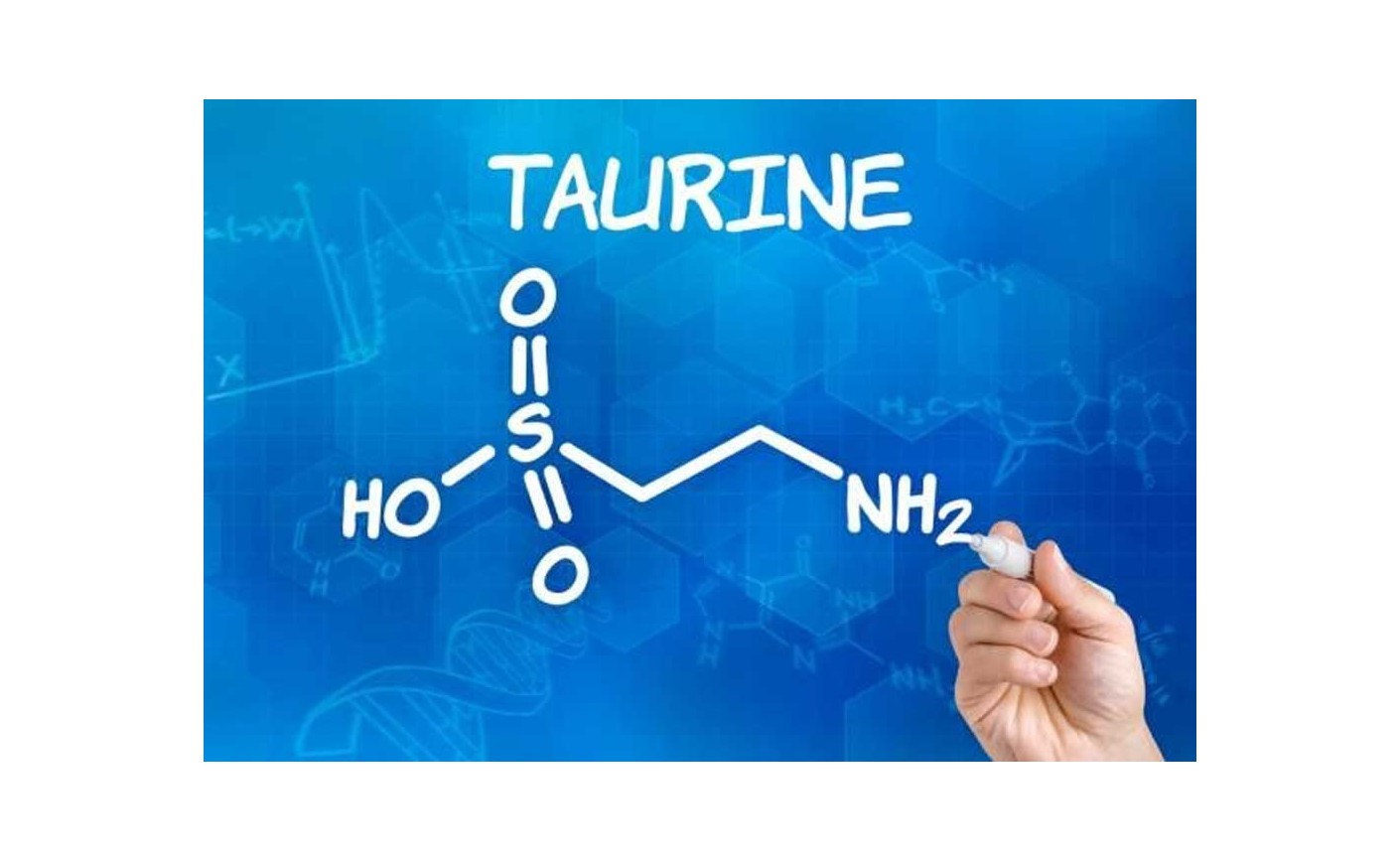 L-Taurine: A Comprehensive Guide to the Powerful Amino Acid